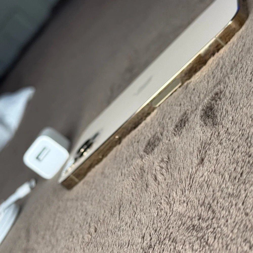 Apple Black Smartphone with Charger